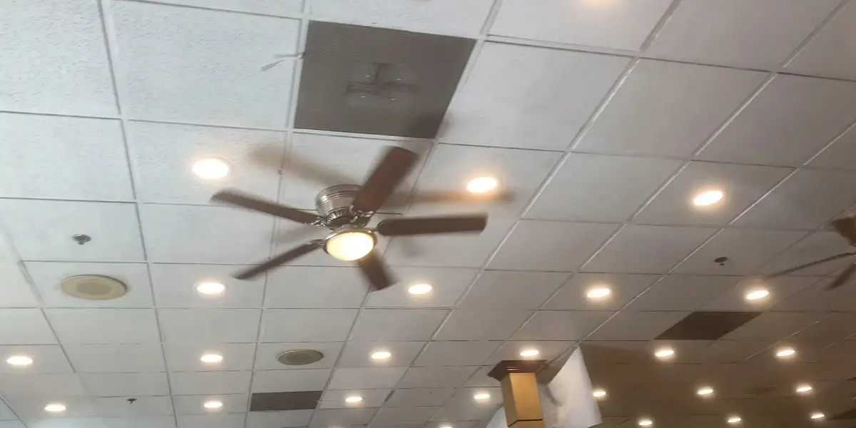 Ceiling fan by Hampton bay in a restaurant